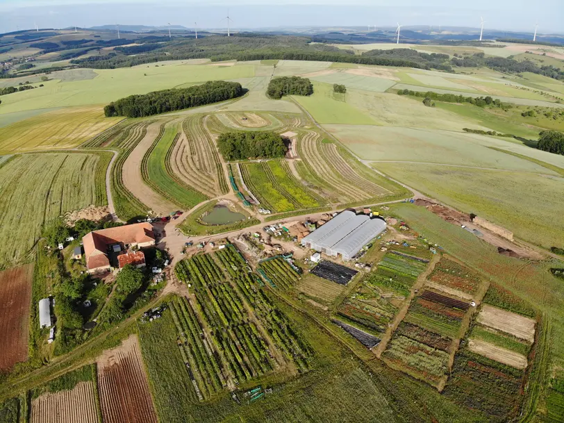 Hof Lebensberg in Obermoschel